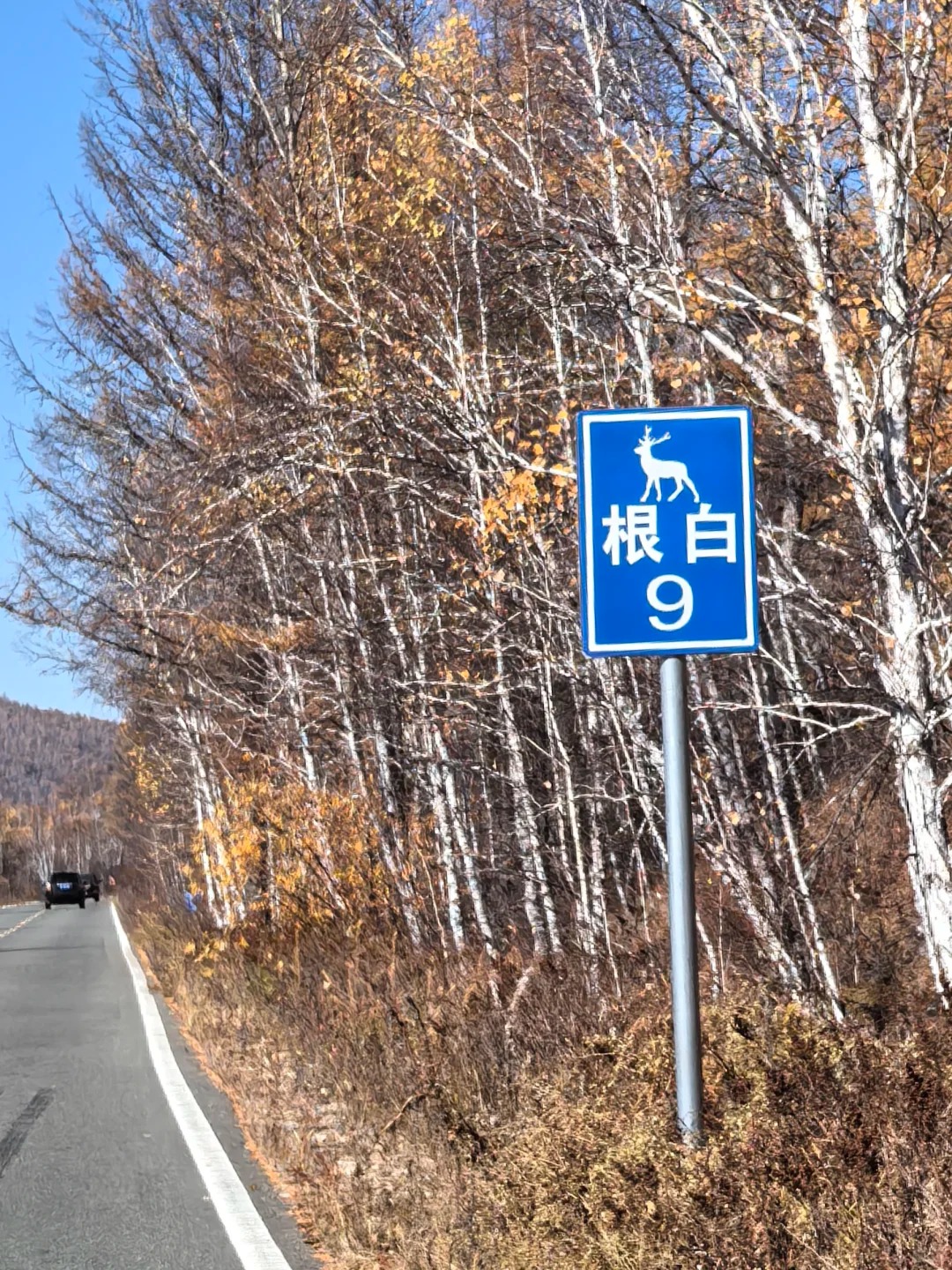9月27号穿越根白线_3_米小米_大兴安岭-来自52tours 我爱旅游网
